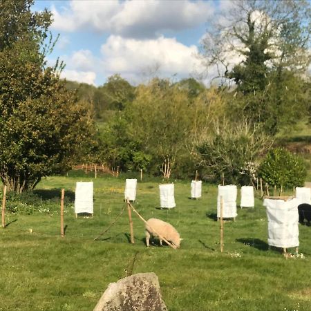 Gite De Kerfenefas Plouézocʼh Exteriör bild
