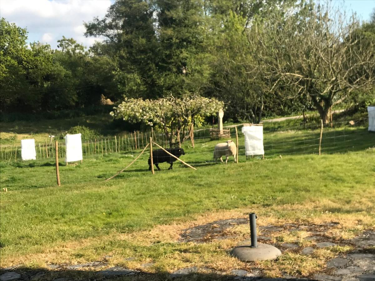Gite De Kerfenefas Plouézocʼh Exteriör bild